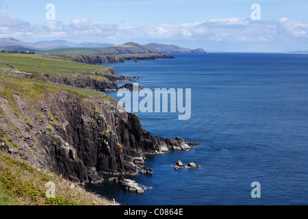 Falaises de Slea Head, péninsule de Dingle, comté de Kerry, Ireland, British Isles, Europe Banque D'Images