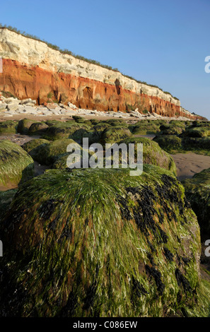 Les affleurements de grès le long de la plage à côté de la falaise à Hunstanton à Norfolk. Banque D'Images