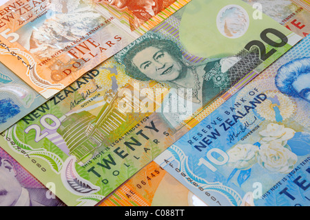 New Zealand Dollar Billets de banque. Banque D'Images