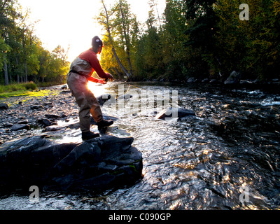 Femme la pêche à la mouche de la truite sur la rivière russe, péninsule de Kenai, Southcentral Alaska, automne Banque D'Images