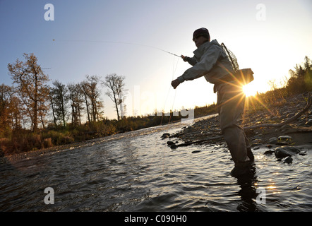 Pêche à la mouche et d'une femme jette pour truites sauvages sur Deep Creek, péninsule de Kenai, Southcentral Alaska, automne Banque D'Images
