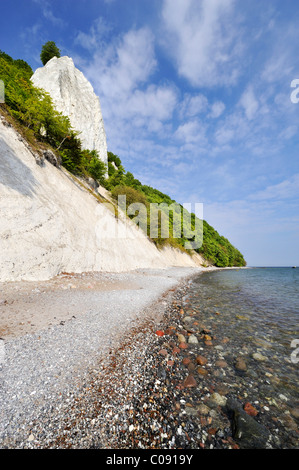 Plage de gravier et de la célèbre falaise de craie Koenigsstuhl sur la mer Baltique, Nationalpark Parc national de Jasmund, Ruegen island Banque D'Images