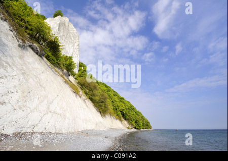 Plage de gravier et de la célèbre falaise de craie Koenigsstuhl sur la mer Baltique, Nationalpark Parc national de Jasmund, Ruegen island Banque D'Images