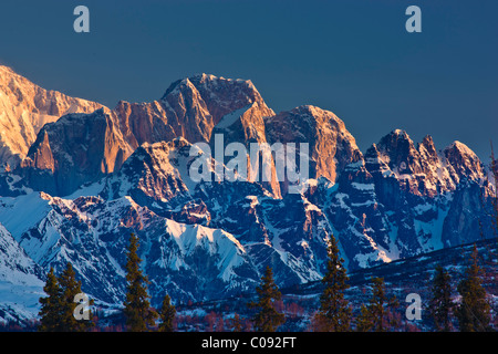 Sunrise alpenglow sur les orignaux dans la dent dans la chaîne de l'Alaska, Denali State Park, Southcentral Alaska, printemps Banque D'Images