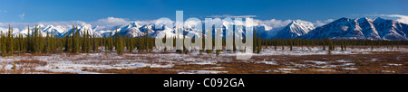 Vue panoramique de la chaîne de l'Alaska dans la région de Foothills large passer le long de la route de George Parks, Southcentral Alaska, printemps Banque D'Images