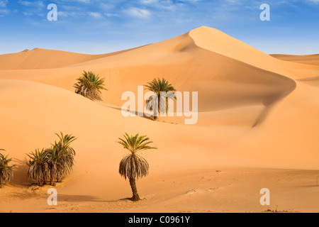 Um El Ma Oasis, dattiers et des dunes de sable, Désert de Libye, Maroc, Sahara, Afrique du Nord, Afrique Banque D'Images