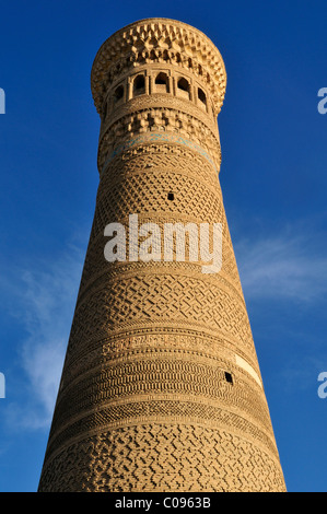 Kalan, Kalyan Minaret Kalon, Boukhara, Buchara, Route de la Soie au patrimoine mondial de l'Unesco, l'Ouzbékistan, en Asie centrale Banque D'Images