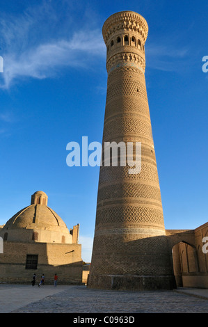 Kalan, Kalyan Minaret Kalon, Boukhara, Buchara, Route de la Soie au patrimoine mondial de l'Unesco, l'Ouzbékistan, en Asie centrale Banque D'Images