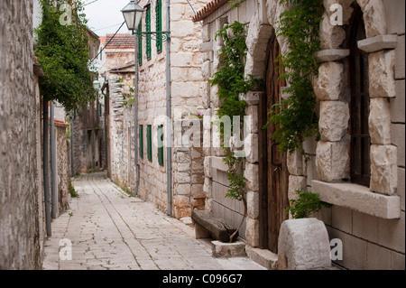 Lane, Magonj à Stari Grad, île de Hvar, Croatie, Europe Banque D'Images