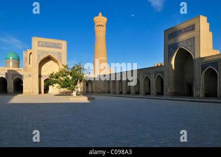 Cour de Kalan, Kalyan, mosquée Kalon, Boukhara, Buchara, Route de la Soie au patrimoine mondial de l'Unesco, l'Ouzbékistan, en Asie centrale Banque D'Images