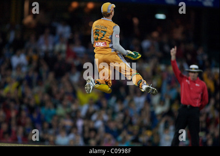 Australian wicket Keeper Brad Haddin célèbre le guichet de Nouvelle-zélande batteur James Franklin Banque D'Images