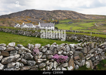 Homestead, Château Trois Head, Mizen Head Peninsula, West Cork, Republic of Ireland, British Isles, Europe Banque D'Images