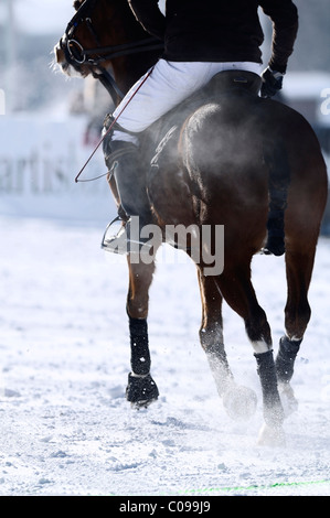 Joueur de Polo équitation son cheval, Snow Arena Polo World Cup 2010 tournoi de polo, Kitzbühel, Tyrol, Autriche, Europe Banque D'Images