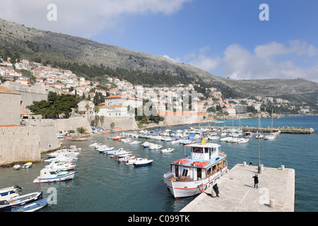 Vue depuis les remparts, sur le vieux port, Dubrovnik, Ragusa, Italy, Europe Banque D'Images