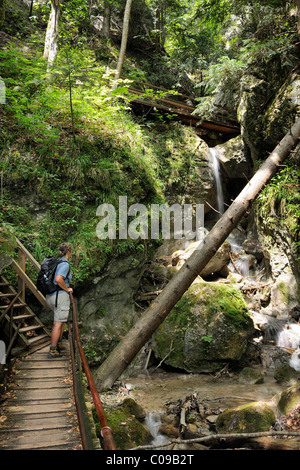 Randonneur sur l'installation d'escalade par Steinwandklamm ravin, Triestingtal valley, Basse Autriche, Europe Banque D'Images