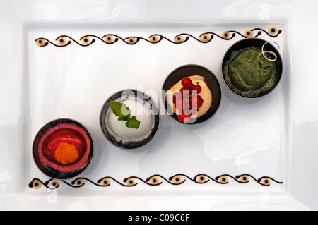Divers sorbets sur une plaque blanche, Haute Cuisine, Auberge de la Ferme Hueb, Mike Germershausen, Marckolsheim, Alsace, France