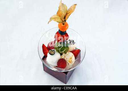 Desserts, différentes sortes de sorbet dans un plat garni de fruits, de la haute cuisine, Auberge de la Ferme Hueb, Mike Germershausen Banque D'Images