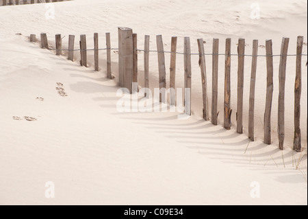 Clôtures dans les dunes de Camber Sussex Banque D'Images