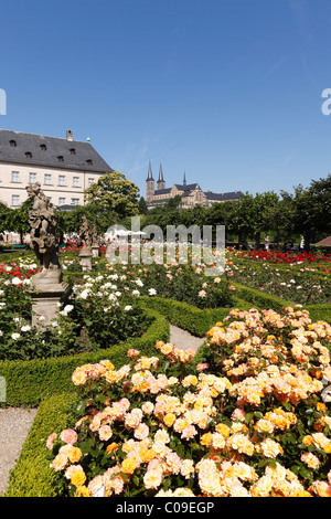 Jardin de roses de la Neue Residenz, nouvelle résidence, à l'église de Saint Michel, Bamberg, Haute-Franconie, Franconia, Bavaria Banque D'Images