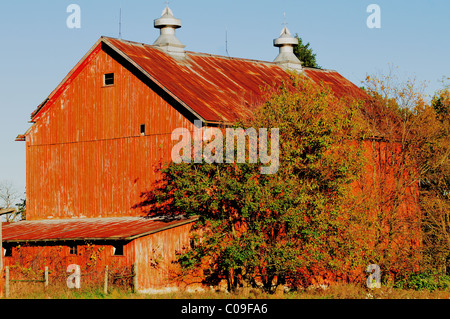 Hampshire, Illinois, USA. Un cadre rustique, maintenant orange grange avec toit en métal rouillé apparaît un vétéran de plusieurs saisons difficiles. Banque D'Images