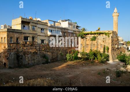 Ville historique de la ville des croisés de Tartus, Tartous, construite sur la citadelle antique, en Syrie, au Moyen-Orient, en Asie de l'Ouest Banque D'Images