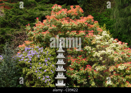 Jardin japonais, jardin, jardin de Powerscourt Powerscourt House, comté de Wicklow, Irlande, British Isles, Europe Banque D'Images