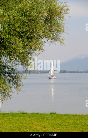 Voilier en face de Fraueninsel, Women's Island, le lac de Chiemsee, Chiemgau, Bavaria, Germany, Europe Banque D'Images