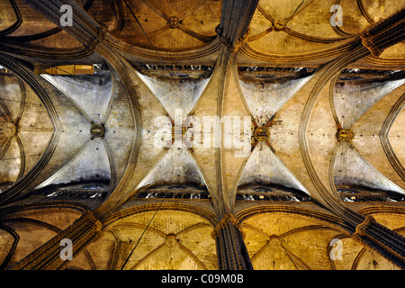 L'intérieur, voûtes réticulée, nef, plafond cathédrale gothique de la Catedral de la Santa Creu i Santa Eulalia, Barcelone Banque D'Images