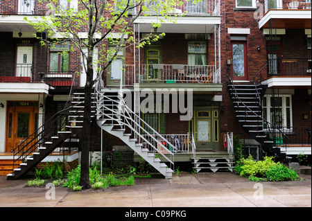 Maisons typiques avec des escaliers au premier étage à Montréal, Québec, Canada Banque D'Images