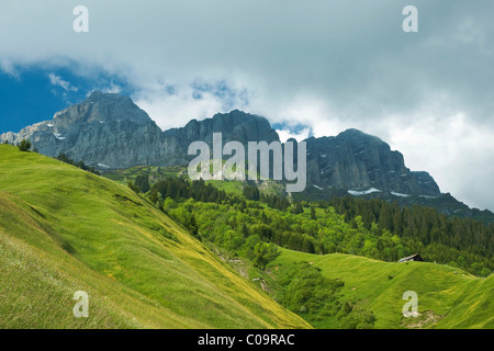 Prés sur le Klausenpass pass, Canton d'Uri, Suisse, Europe Banque D'Images