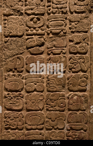 Les glyphes mayas sur Linteau 47 du site Maya Yaxchilan, Chiapas maintenant dans le Musée National d'Anthropologie, Mexico. Banque D'Images