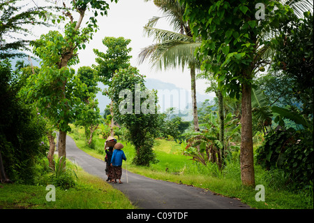 Un couple de personnes âgées femmes balinaises marcher dans le sentier en Sideman, Bali, Indonésie, dans leurs foyers dans les champs de riz. Banque D'Images