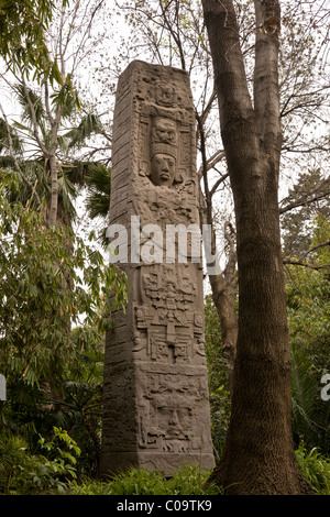 Musée national d'anthropologie de Mexico. Reproduction d'une stèle maya de Quiriguá, au Guatemala. Banque D'Images