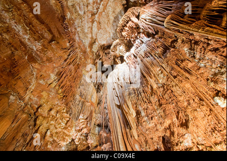 Jama Baredine cave, stalactite, Nova Vas, Porec, Istrie, Croatie, Europe Banque D'Images