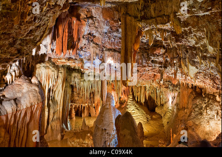 Jama Baredine cave, stalactite, Nova Vas, Porec, Istrie, Croatie, Europe Banque D'Images