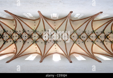 L'intérieur, plafond voûte dans la nef de l'Eglise laïcs, rib à la perche, Monastère de Maulbronn, Abbaye Cistercienne Banque D'Images