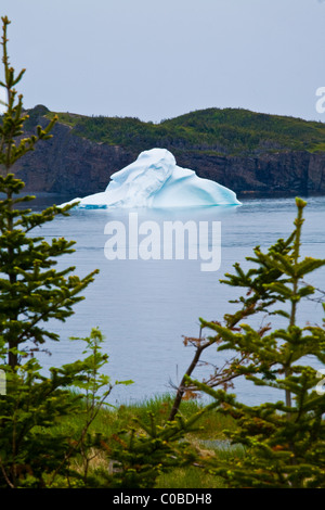 La masse d'un iceberg dans la baie Trinity, Newfoundland, Canada Banque D'Images