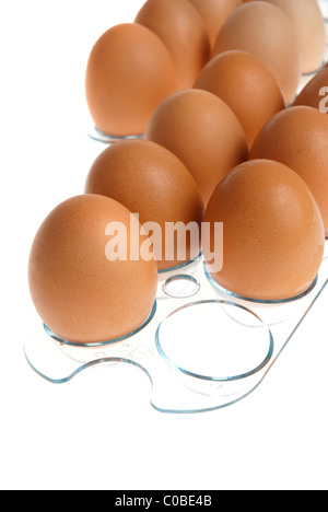 Les oeufs bruns sur un support transparent en acrylique isolé sur fond blanc. Banque D'Images