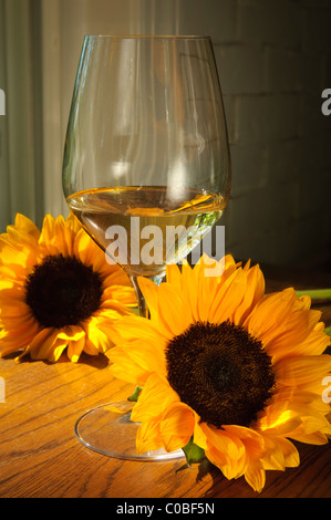 Verre de vin blanc avec le tournesol helianthus annuus Banque D'Images