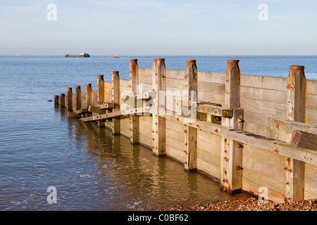 Détail de l'épi en bois sur la plage de Whitstable, près du port. Port de Whitstable Kent UK Banque D'Images