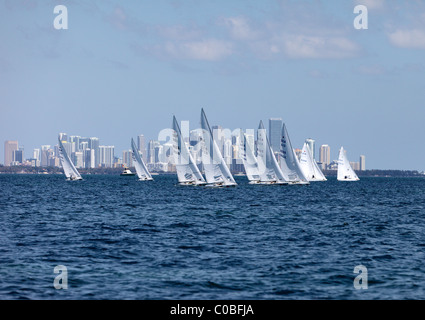 Star Class voilier racing sur Biscayne Bay passant ville de Miami Banque D'Images