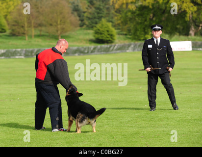 Un chien de police et de l'équipe gestionnaire de la compétition à la Police nationale, organisée par les essais de chien La Police de Kent, Leeds Castle, dans le Kent. Banque D'Images