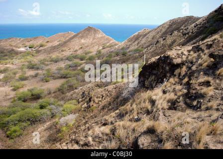 Cratère de Diamond Head, Oahu Hawaii Banque D'Images