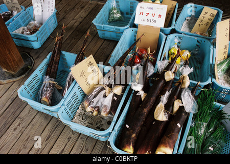 Pousses de bambou et des légumes frais pour la vente à un marché agricole en milieu rural au Japon. Banque D'Images