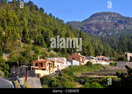 Village de Vilaflor parmi une forêt de pins dans la montagne à Tenerife, dans les îles Canaries. Banque D'Images