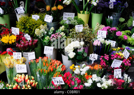 Les fleuristes, un stand à Borough Market, Southwark, London, England, UK Banque D'Images