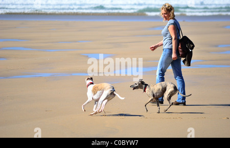 Young woman walking on beach et souriant à l'exécution de deux whippets exécutant Banque D'Images