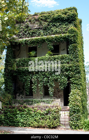 MAISON DE DEUX ÉTAGES AVEC TERRASSE À SYDNEY COUVERTE À IVY.SYDNEY, NOUVELLE-GALLES DU SUD, AUSTRALIE. Banque D'Images