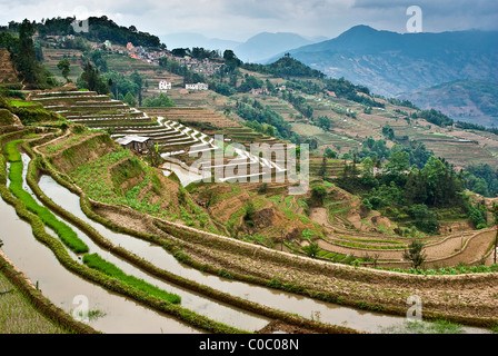 L'Asie, Chine, Province du Yunnan, Yuanyang County. Les terrasses de riz inondé près de la ville de Panzhihua. Banque D'Images