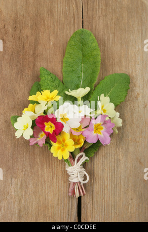 Posy de Primrose au printemps des fleurs sur un fond de bois patiné Banque D'Images